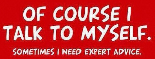 funny-of-course-i-talk-to-myself-sometimes-i-need-expert-advice-01.jpg