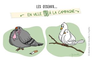 Topito-Illustration-10-600x400